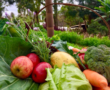 Paraná passa a 352 municípios com adesão ao Sistema de Segurança Alimentar