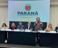 Saúde apresenta avanços em cirurgias e assistência farmacêutica durante reunião da CIB