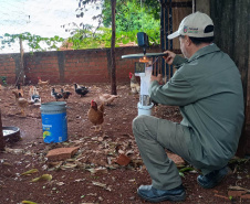 Estado reforça estratégias de vigilância e prevenção de agravos ligados ao meio ambiente