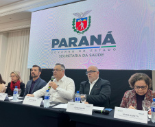 Saúde apresenta avanços em cirurgias e assistência farmacêutica durante reunião da CIB