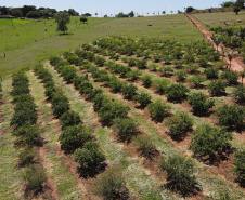 Fomento Paraná abre nova chamada pública para selecionar projetos de FIDCs do Agro