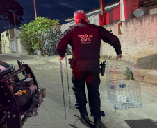 PCPR deflagra operação contra organização envolvida com tráfico e tribunal do crime em Jacarezinho
