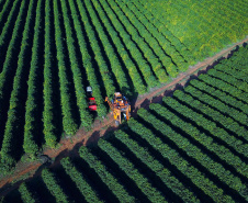 BOLETIM AGRO