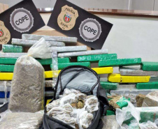 PCPR apreende 327 quilos de maconha gourmet e prende três pessoas por tráfico