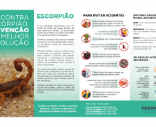 Saúde reforça cuidados e medidas de prevenção para evitar acidentes com escorpiões no Paraná