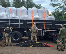 Canis da PMPR causam prejuízo de R$ 900 milhões ao crime desde 2023