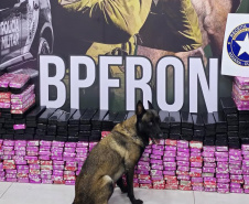 Canis da PMPR causam prejuízo de R$ 900 milhões ao crime desde 2023