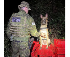 Canis da PMPR causam prejuízo de R$ 900 milhões ao crime desde 2023