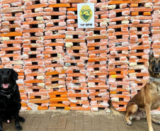 Canis da PMPR causam prejuízo de R$ 900 milhões ao crime desde 2023