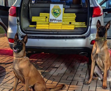 Canis da PMPR causam prejuízo de R$ 900 milhões ao crime desde 2023