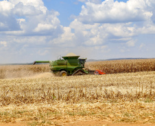 SEFA - Adesão obrigatória da nota fiscal eletrônica do produtor rural é adiada para 2026