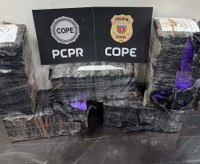 PCPR prende homem com 150 quilos de maconha na BR-277