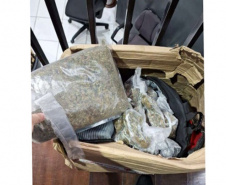 PCPR apreende 327 quilos de maconha gourmet e prende três pessoas por tráfico