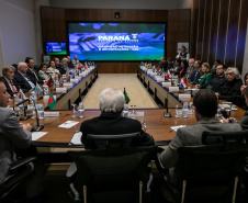 AGENDA VICE TARDE