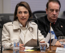 AGENDA VICE TARDE