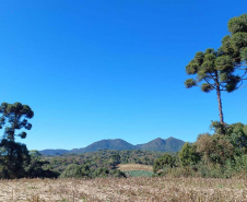 Opção para o final de semana: São José dos Pinhais oferece turismo em meio à Mata Atlântica   
