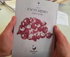 Com novo Mapa do Enoturismo, Paraná valoriza vinhos estaduais e visitas a produtores locais