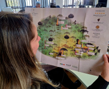 Com novo Mapa do Enoturismo, Paraná valoriza vinhos estaduais e visitas a produtores locais
