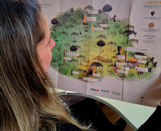 Com novo Mapa do Enoturismo, Paraná valoriza vinhos estaduais e visitas a produtores locais