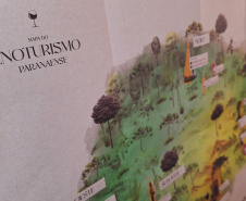 Com novo Mapa do Enoturismo, Paraná valoriza vinhos estaduais e visitas a produtores locais