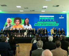DESCOMPLICA PARANÁ VICE