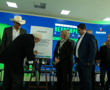 DESCOMPLICA PARANÁ VICE