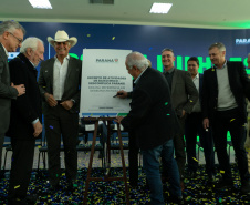 DESCOMPLICA PARANÁ VICE