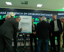 DESCOMPLICA PARANÁ VICE