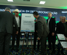 DESCOMPLICA PARANÁ VICE