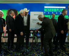 DESCOMPLICA PARANÁ VICE