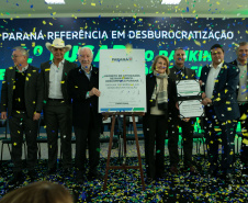 DESCOMPLICA PARANÁ VICE