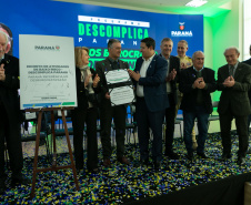 DESCOMPLICA PARANÁ VICE
