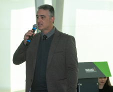 DESCOMPLICA PARANÁ VICE