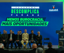 DESCOMPLICA PARANÁ VICE
