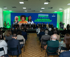 DESCOMPLICA PARANÁ VICE