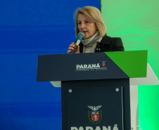 DESCOMPLICA PARANÁ VICE