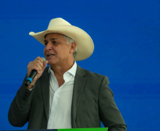 DESCOMPLICA PARANÁ VICE