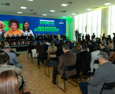 DESCOMPLICA PARANÁ VICE