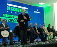 DESCOMPLICA PARANÁ VICE