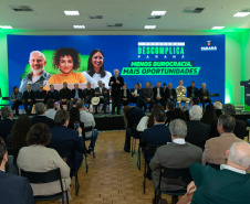 DESCOMPLICA PARANÁ VICE