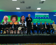 DESCOMPLICA PARANÁ VICE