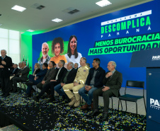 DESCOMPLICA PARANÁ VICE