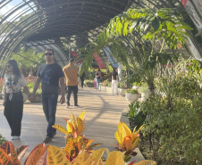 Exposição Fauna Ameaçada é Fauna a Ser Salva" atrai turistas para o Jardim Botânico de Curitiba