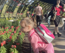 Exposição Fauna Ameaçada é Fauna a Ser Salva" atrai turistas para o Jardim Botânico de Curitiba