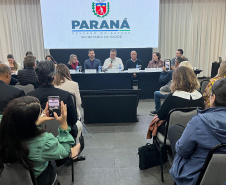 Saúde apresenta avanços em cirurgias e assistência farmacêutica durante reunião da CIB