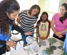 Saúde, educação e tecnologia mobilizam população no primeiro dia de oficinas