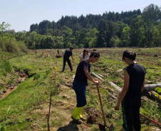Paraná se destaca em olimpíada nacional de recuperação de ecossistemas