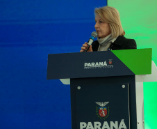 JUNTA COMERCIAL VICE