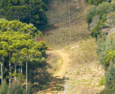 COPEL - Propriedade rural cumpre a Lei Estadual da Faixa Limpa com solução rentável e sem danos à rede elétrica