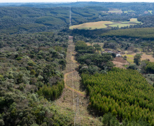 COPEL - Propriedade rural cumpre a Lei Estadual da Faixa Limpa com solução rentável e sem danos à rede elétrica